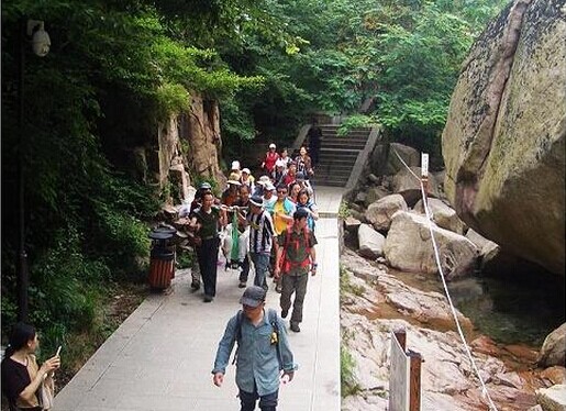 【第6期】夏日登山生機(jī)勃勃，萬紫千紅花葉茂盛