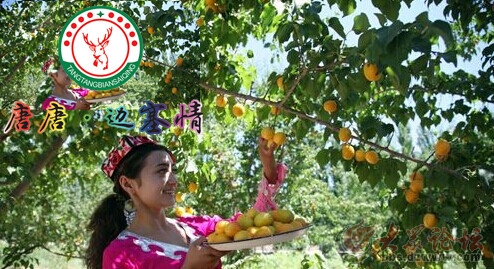 炎炎夏日正宗的新疆水果带给你清凉一夏!航空