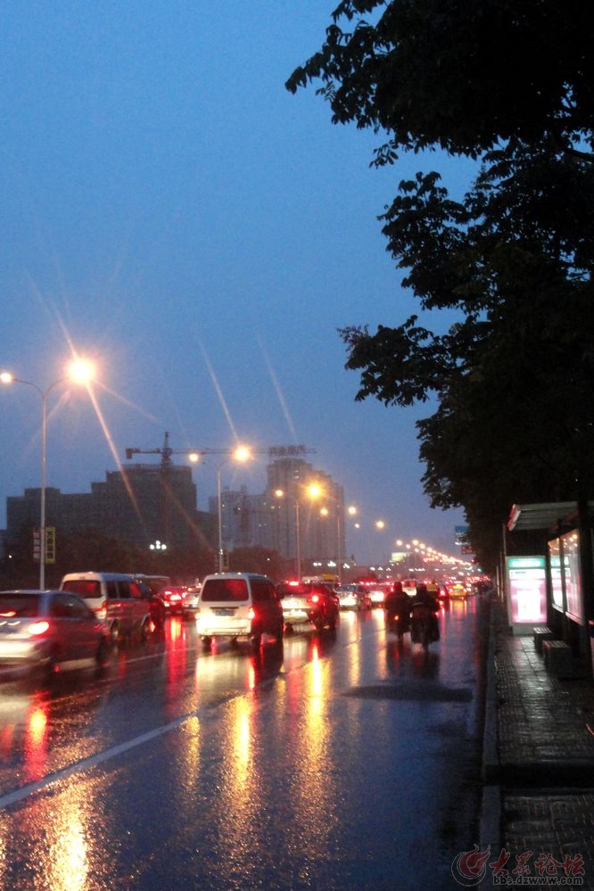 昨晚秋雨中的行路人 - 日照论坛 - 大众论坛