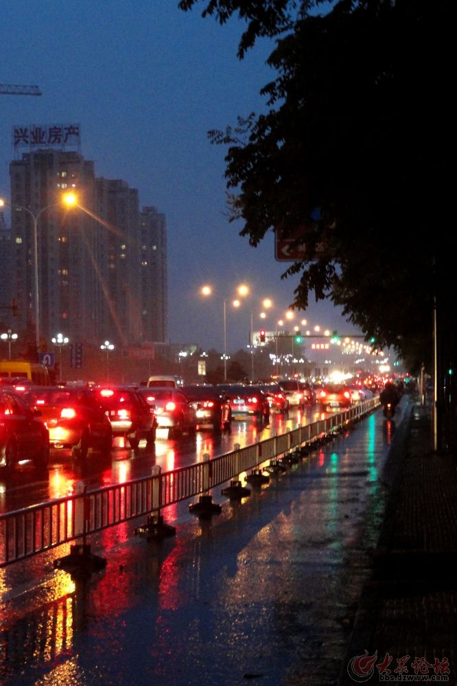 昨晚秋雨中的行路人 - 日照论坛 - 大众论坛