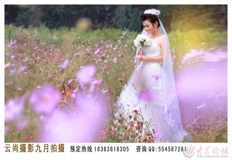 最新婚纱照风格图片_最新的婚纱照