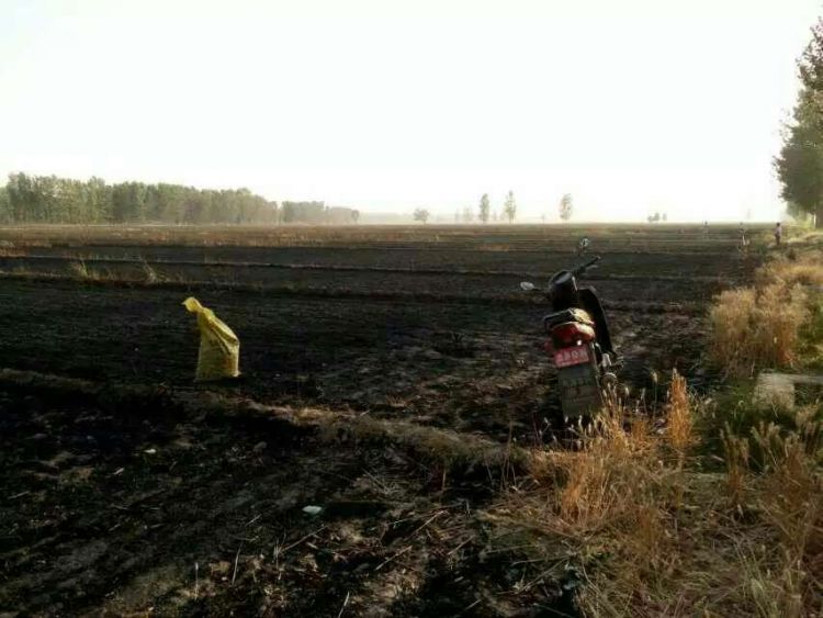 山东郓城李集人口_...李集乡高清卫星地图 李集乡2018年卫星地图 中国山东省菏