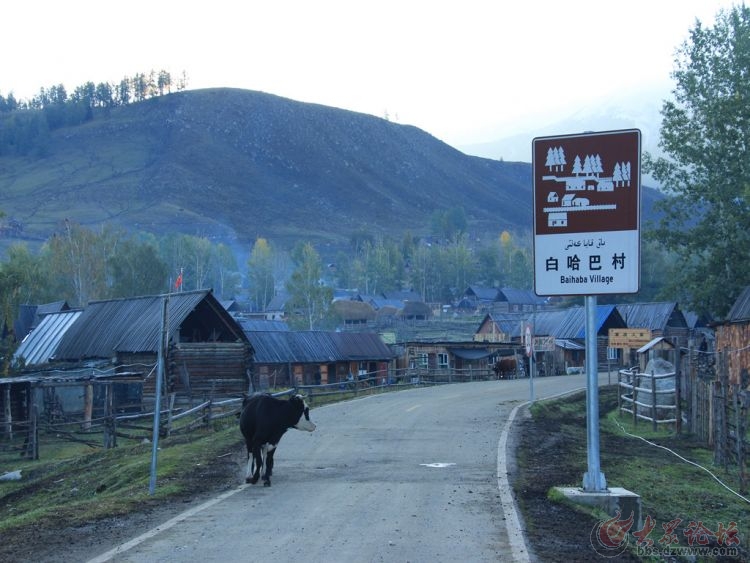 人口最少的村_中国人口最少的村子 只有9人(2)