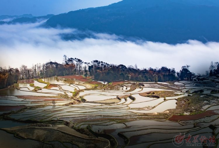 拍客作品推荐《哈尼梯田，延续千年的大地雕刻》