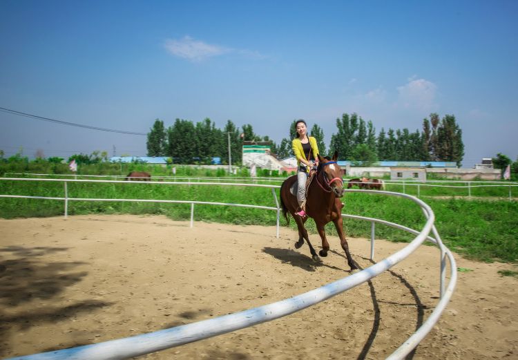 大众网拍客骏腾马术俱乐部体验速度与激情