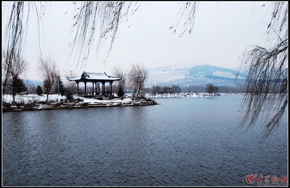 瑞雪五阳湖畔风光好