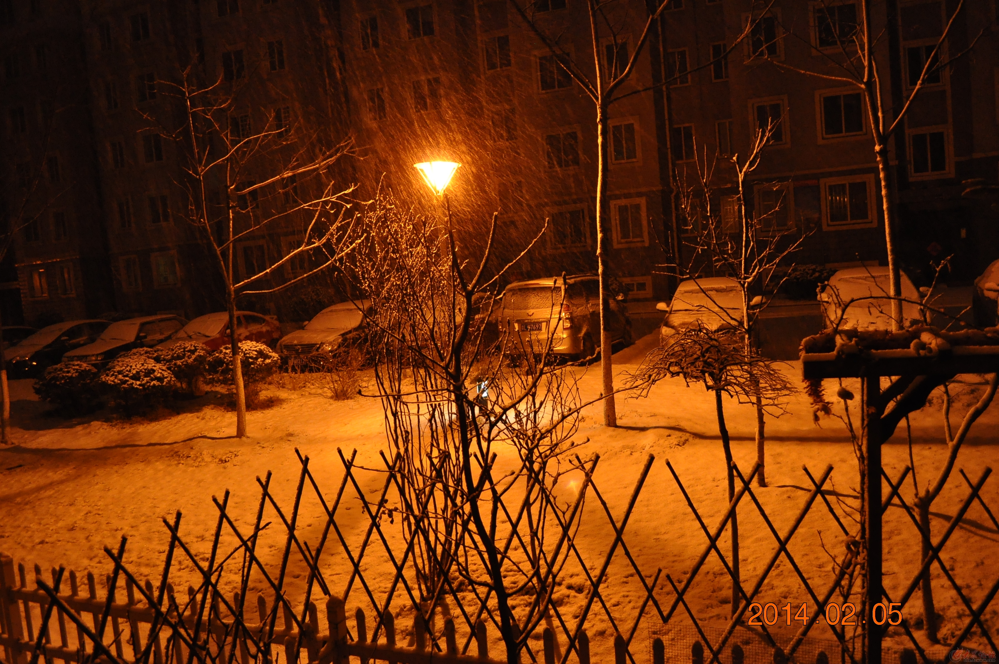 半夜雪景隨手小拍----老矮禿糙男人