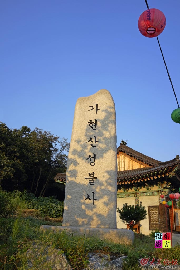 韩国金浦图片